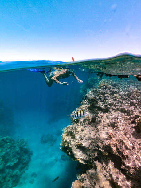 Snorkeling safety guidelines in Andaman Islands