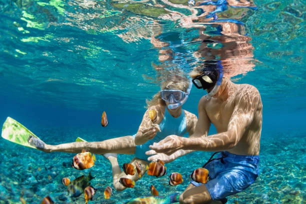 Snorkeling Experiences