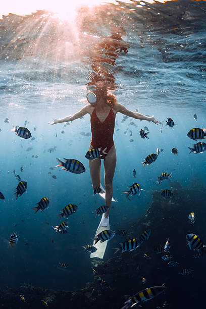 Snorkeling packages and cost in Andaman Islands