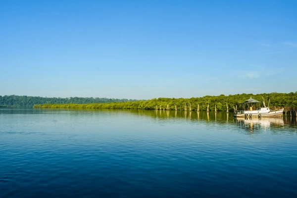 Baratang Island Andaman