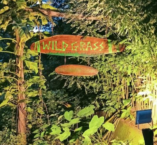 WILDGRASS