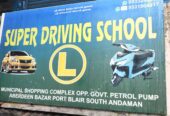 Super Driving School
