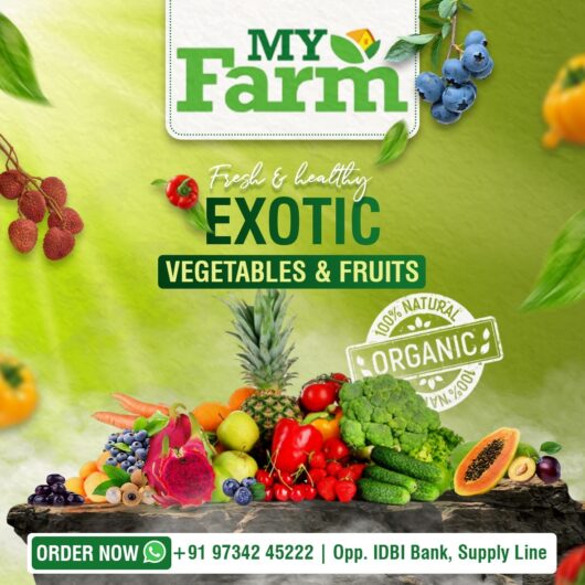 MY FARM