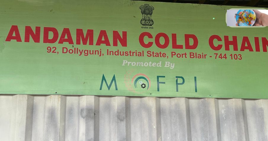 Andaman cold chain