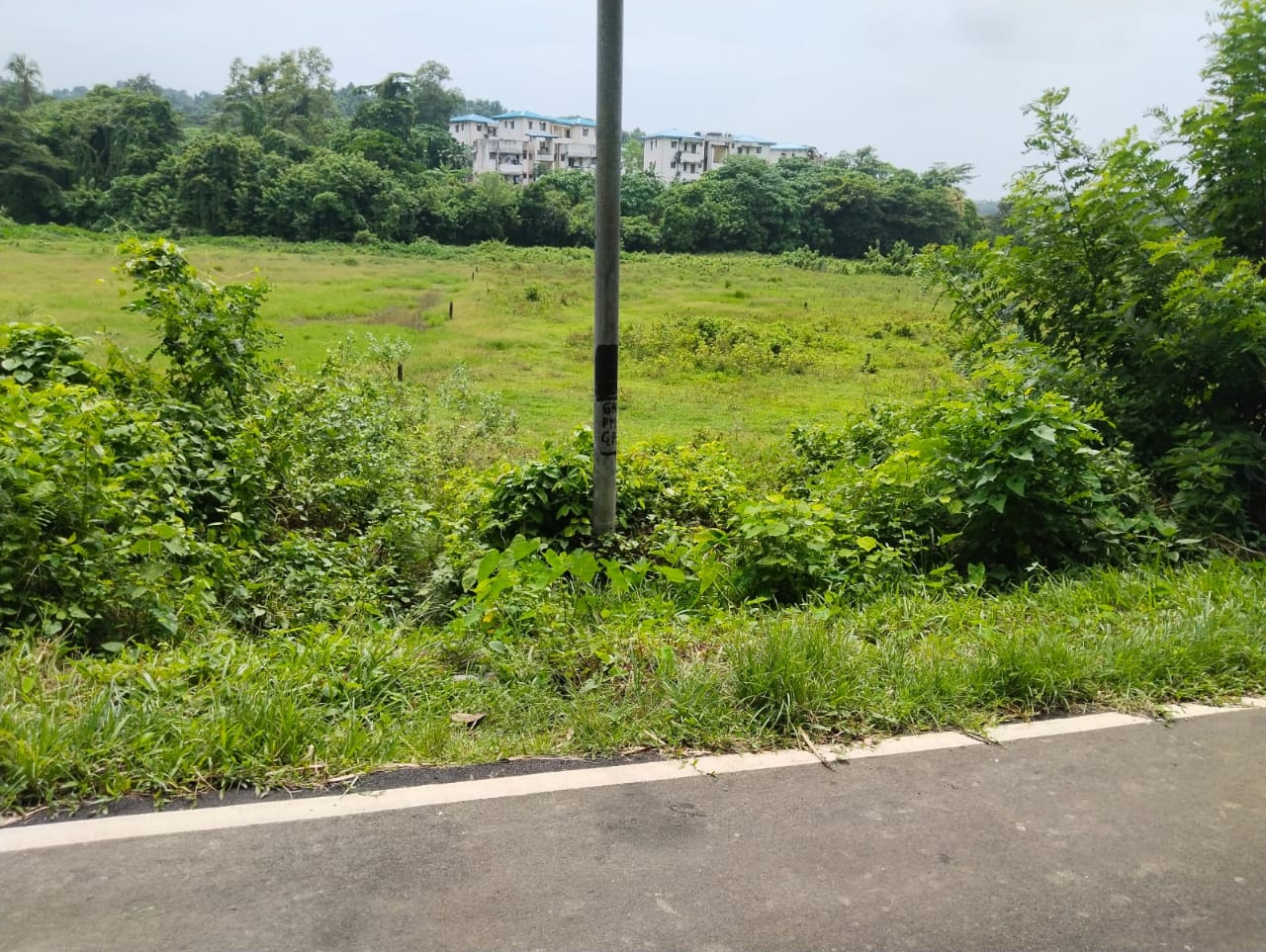 Urgent Land Sale – 200 Sq. Meter Plot at Portmout