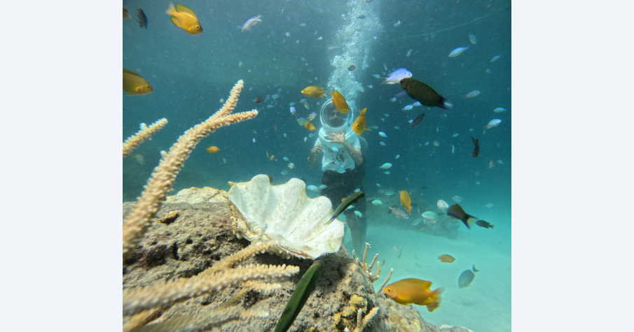 Sea Walking Adventure at Havelock Island