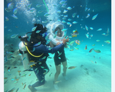 Untitled-design-2025-09-26T123407.531