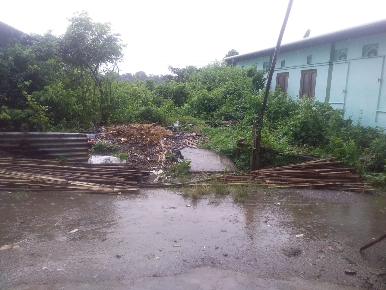 Urgent Land for Sale – Sippighat (Near Jodakilan)