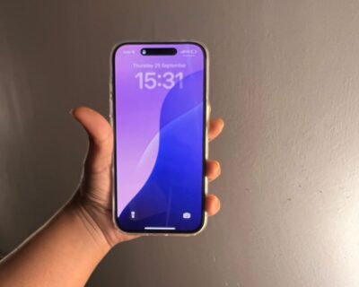 cfdae533-4328-4cb4-a92e-0d82b32bcc2d