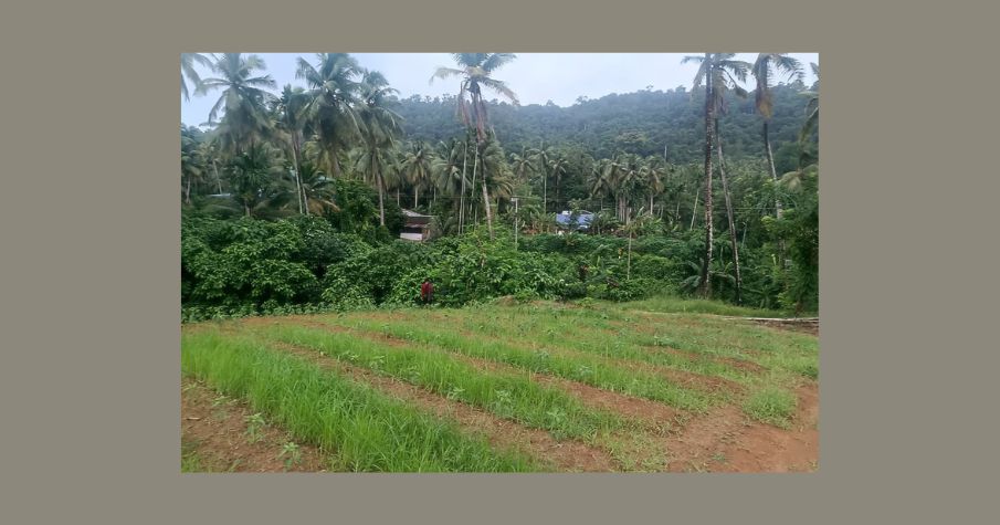 Coastal Land for Sale Near Chidiya Tapu Beach!