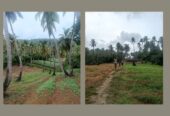 Coastal Land for Sale Near Chidiya Tapu Beach!