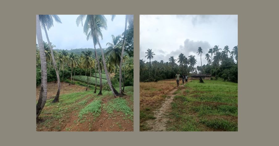 Coastal Land for Sale Near Chidiya Tapu Beach!
