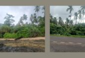 Coastal Land for Sale Near Chidiya Tapu Beach!