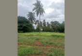 Coastal Land for Sale Near Chidiya Tapu Beach!