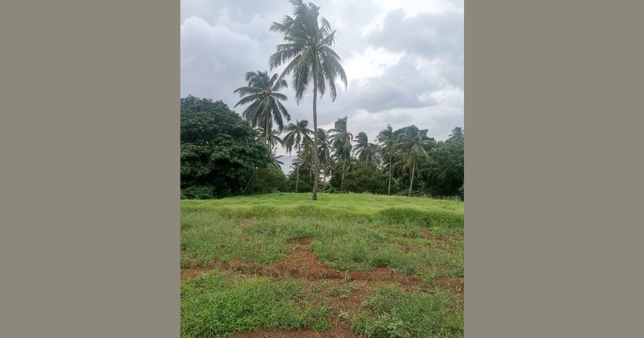 Coastal Land for Sale Near Chidiya Tapu Beach!