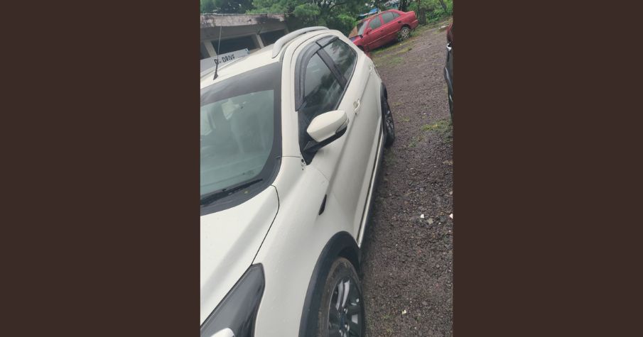 Used Car For Sale – Ford FreeStyle 2021, White