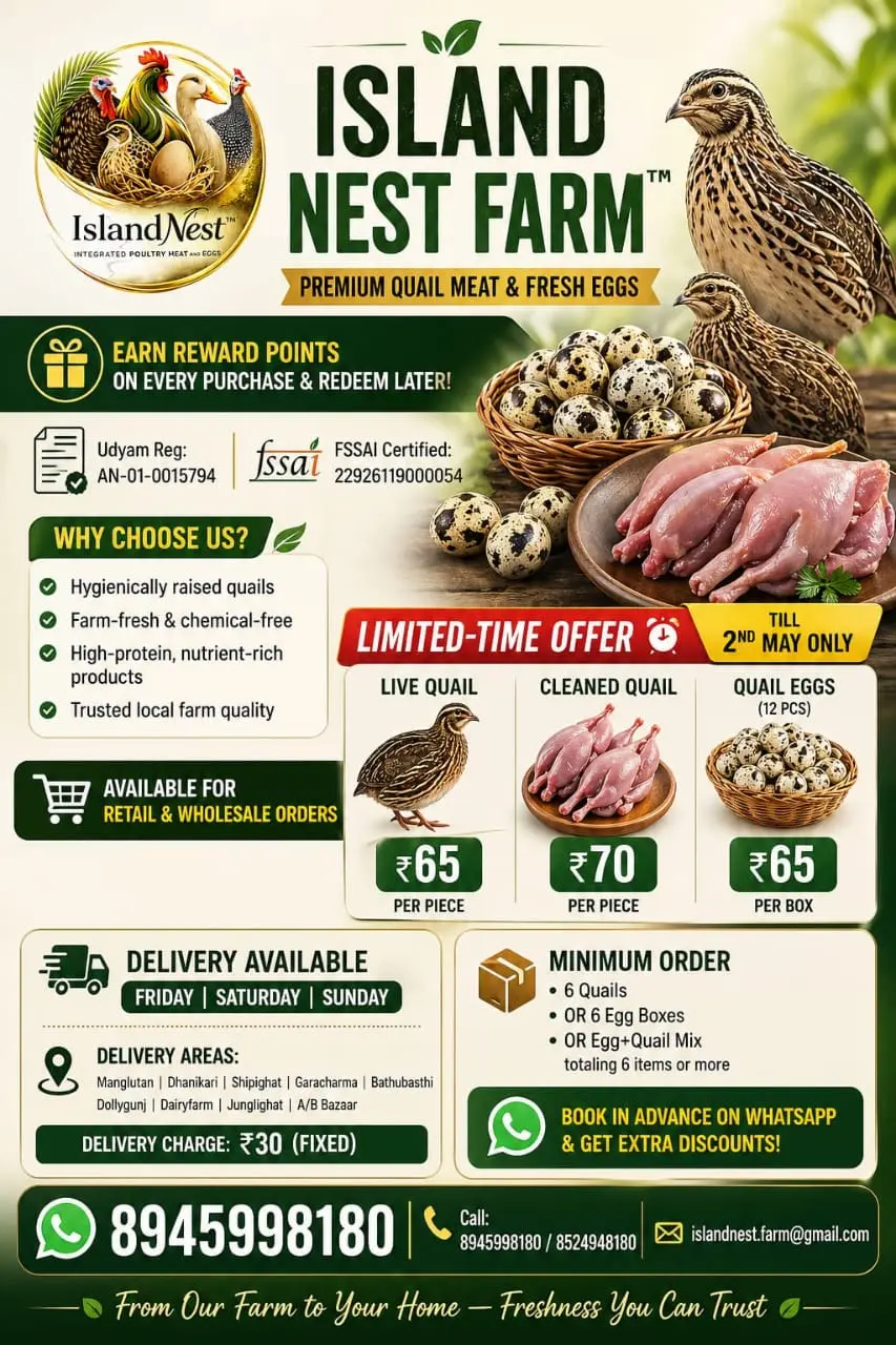 Island Nest Farm – Premium Fresh Quail Meat & Quail Eggs in Andaman